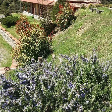 Guest house Agropoli Nimfasia