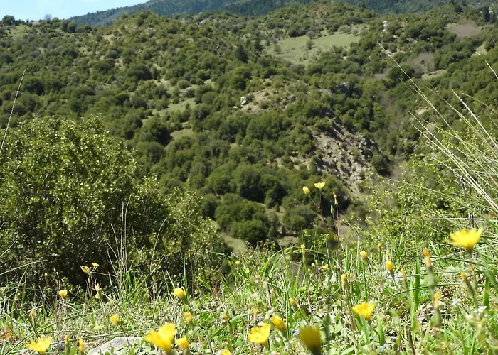 Agropoli בית הארחה Nimfasía